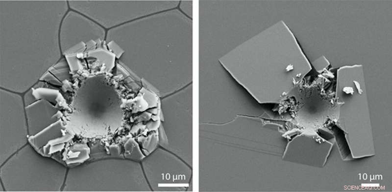 Unveiling the Secret Strengthening Mechanism in Biological Ceramics