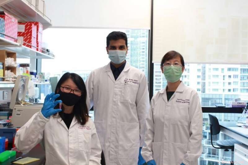 NTU Scientists Create Oral Insulin Nanoparticles, Offering a New Alternative to Injections