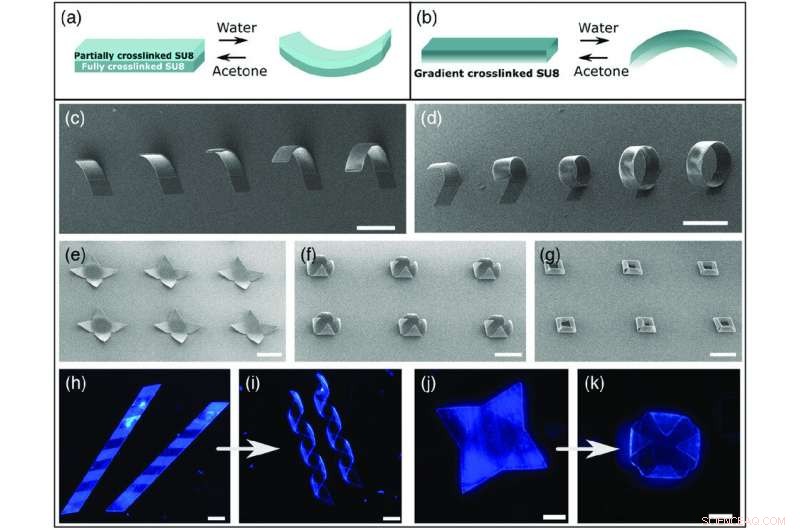 Self‑Folding 3‑D SU8 Photopolymer Architectures: Mechanism and Versatility