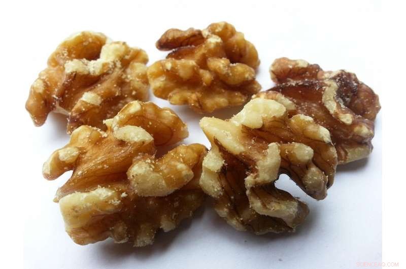 Nanoparticle Therapy Shows Promise in Lab Study for Treating Severe Food Allergies