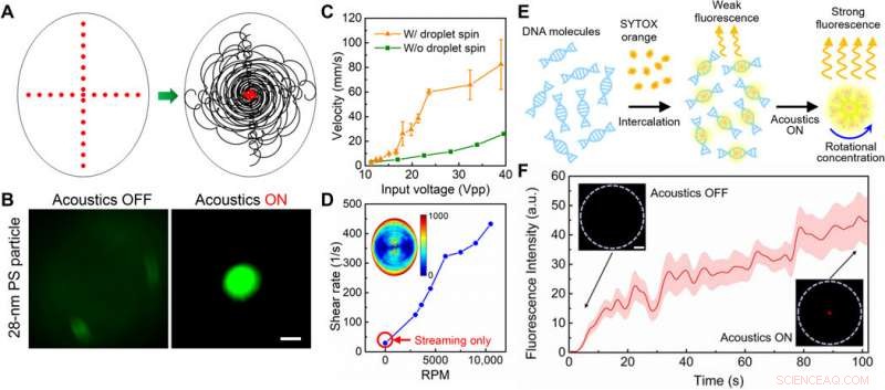 Acoustofluidic Centrifuge: Precise Nanoparticle Enrichment & Sorting