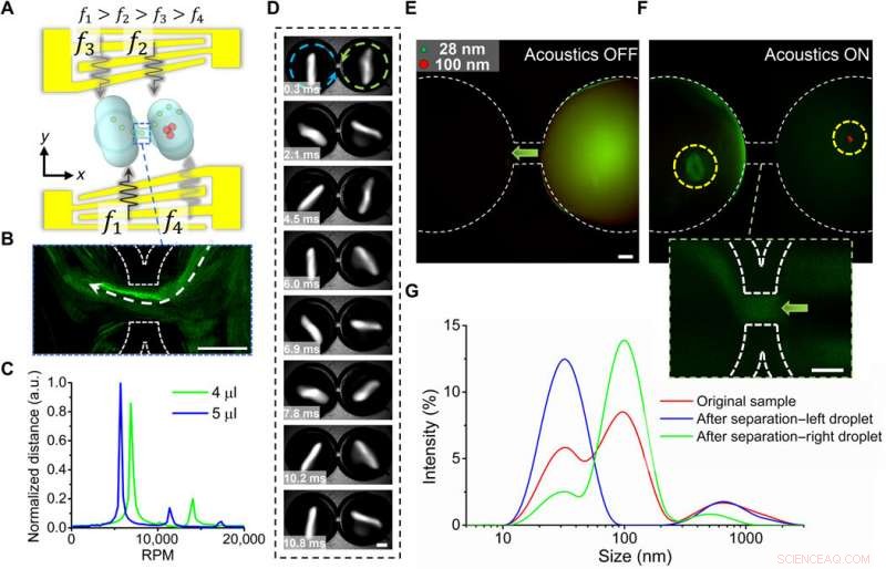 Acoustofluidic Centrifuge: Precise Nanoparticle Enrichment & Sorting