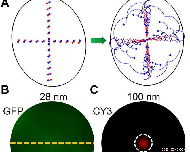 Acoustofluidic Centrifuge: Precise Nanoparticle Enrichment & Sorting