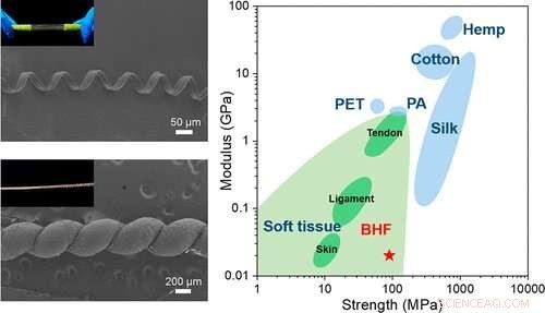 Spiral Hydrogel Fiber Mimicking Lotus Roots: A Robust, Bio-Inspired Surgical Suture