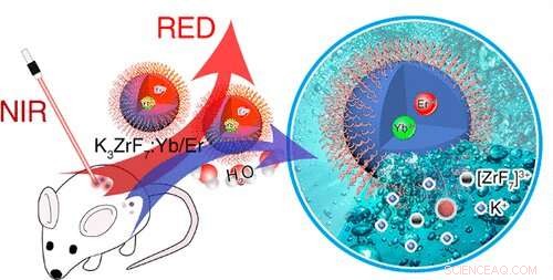 Biodegradable Inorganic Upconversion Nanocrystals Engineered for Safe In Vivo Diagnostics and Therapy