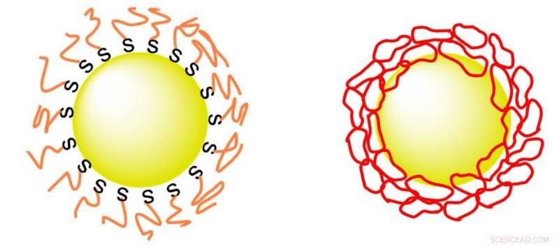 Stabilizing Gold Nanoparticles with Ring‑Shaped PEG Coatings for Cancer Therapy