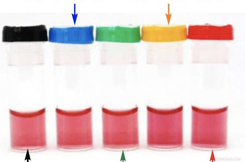Stabilizing Gold Nanoparticles with Ring‑Shaped PEG Coatings for Cancer Therapy