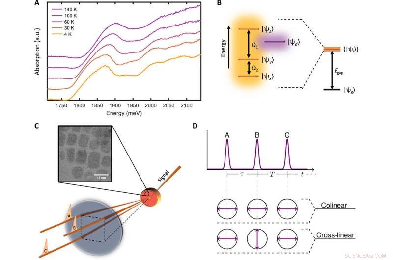 MDCS Uncovers Triplet State Coherences in Cesium Lead-Halide Perovskite Nanocrystals