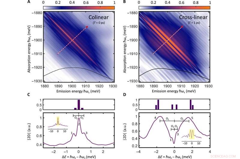 MDCS Uncovers Triplet State Coherences in Cesium Lead-Halide Perovskite Nanocrystals
