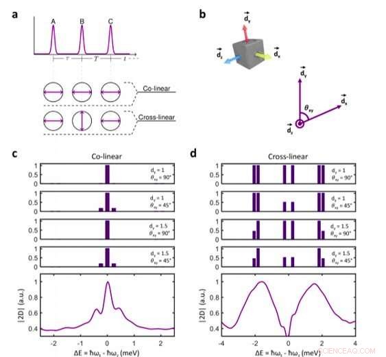 MDCS Uncovers Triplet State Coherences in Cesium Lead-Halide Perovskite Nanocrystals