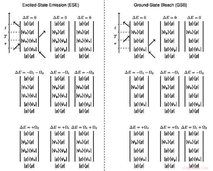 MDCS Uncovers Triplet State Coherences in Cesium Lead-Halide Perovskite Nanocrystals
