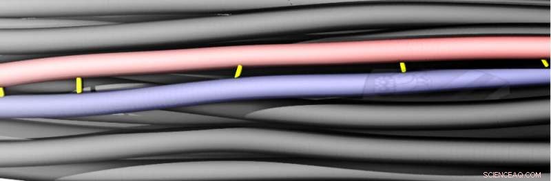 Friction Enhances Strength of Carbon Nanotube Fibers