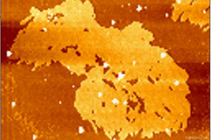 Scientists Set Guinness Record with the World’s Finest Woven Fabric