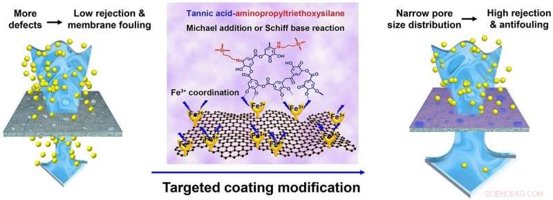 Targeted Coating Enhances Stability and Performance of Graphene Oxide Nanofiltration Membranes