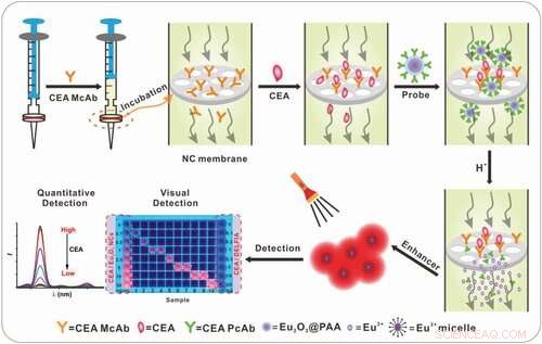 Rapid Saliva‑Based Point‑of‑Care Test for Tumor Marker Detection Using Lanthanide Nanoprobes