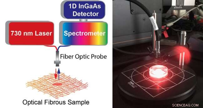 Smart Bandage with Carbon Nanotube Sensors Detects Infections Early