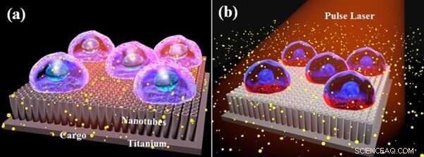 Titanium Oxide Nanotubes Enable Affordable Laser‑Assisted Photoporation