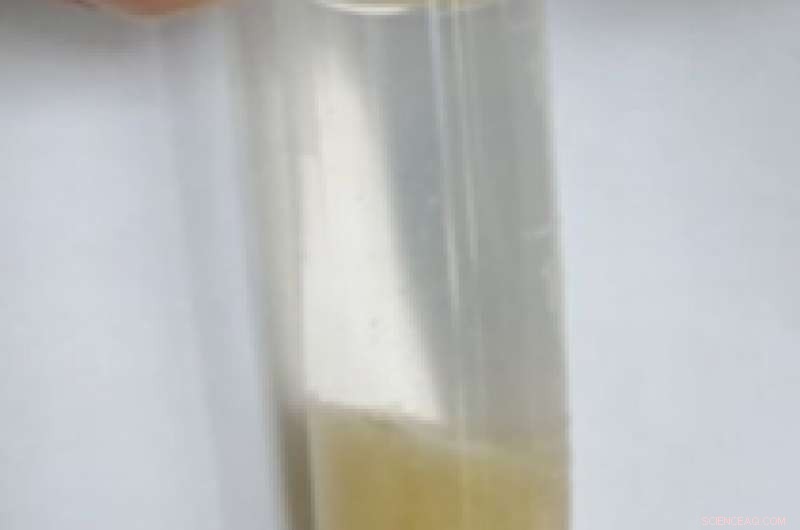 Atomically Precise Gold Nanoclusters: Structure, Synthesis, and Catalytic Applications