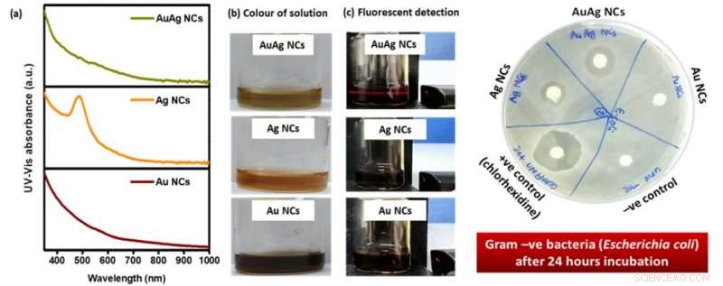 Atomically Precise Gold Nanoclusters: Structure, Synthesis, and Catalytic Applications