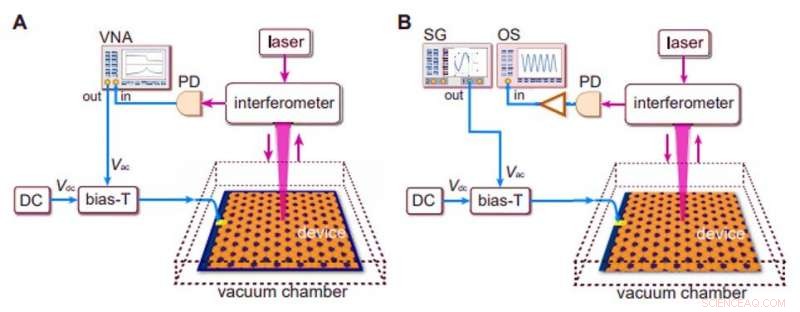Detection of Chiral Edge States in Gapped Nanomechanical Graphene