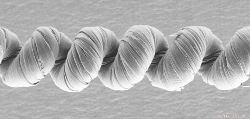 Scientists Develop High-Performance Unipolar Carbon Nanotube Muscles