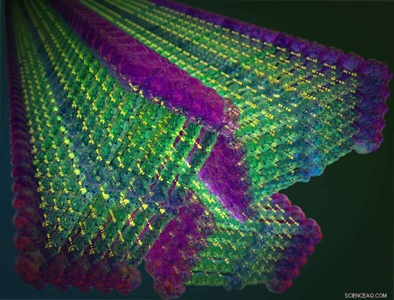 Scientists Engineer Ultra-Strong Molecular Nanofibers Surpassing Steel