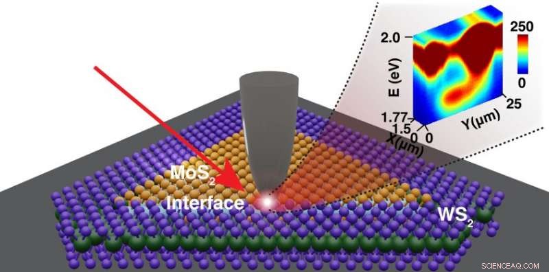 Advanced Nanoscale Imaging Bridges Lab Research to Innovative Renewable Products