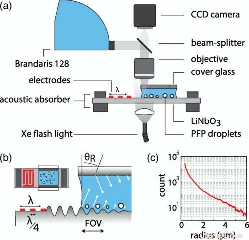 Targeted Tumor Penetration via Resonant Nanodroplets Activated by Focused Ultrasound
