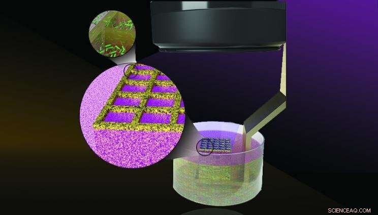 LLNL Researchers 3D-Print Microbes to Advance Biomaterial Design