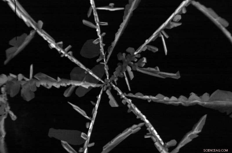 Silver Nanoparticles in Antimicrobial Packaging May Leach Into Some Foods and Beverages