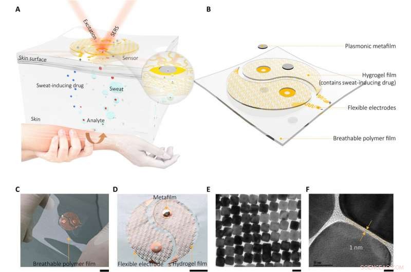 Next‑Generation Wearable Plasmonic Metasurface Sensor for Universal Molecular Fingerprint Detection on Biointerfaces