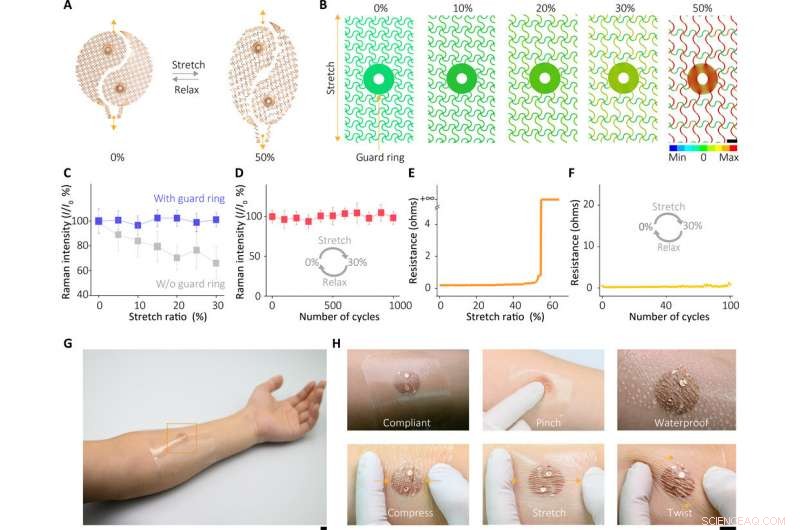Next‑Generation Wearable Plasmonic Metasurface Sensor for Universal Molecular Fingerprint Detection on Biointerfaces