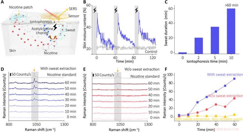 Next‑Generation Wearable Plasmonic Metasurface Sensor for Universal Molecular Fingerprint Detection on Biointerfaces