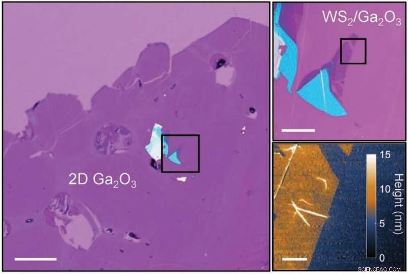 Scientists Develop Protective Armor for Fragile Quantum Devices
