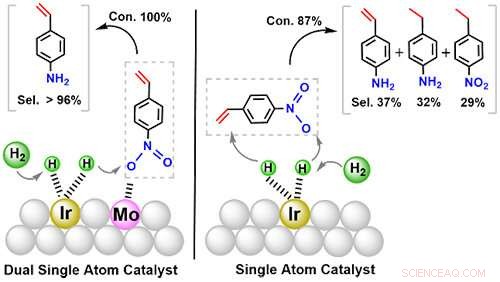 Dual Single-Atom Catalysts Outperform Traditional SACs via Synergistic Atom-Level Cooperation