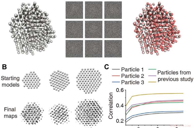 SINGLE: Open-Source Tool for Atomic-Resolution Nanocrystal Structure Determination