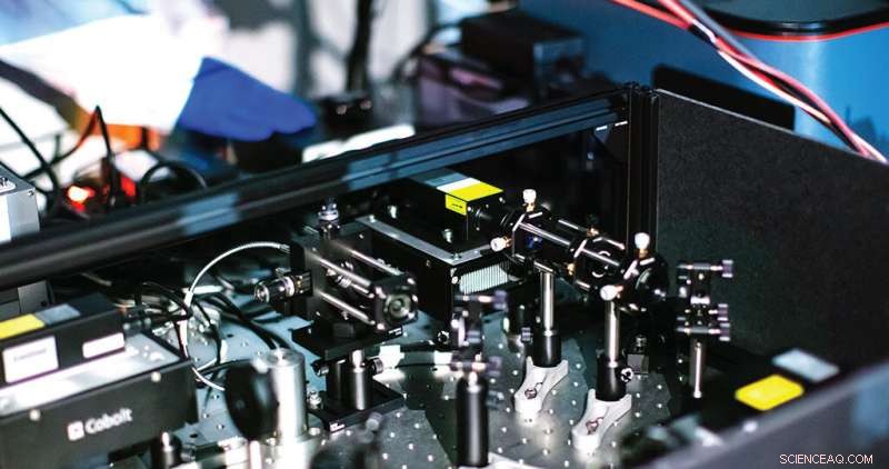 New Tiny Light-Emitting Probes Offer Safer, Noninvasive Imaging of Living Tissue