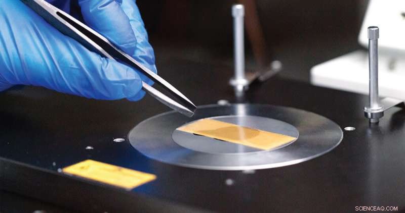 New Tiny Light-Emitting Probes Offer Safer, Noninvasive Imaging of Living Tissue