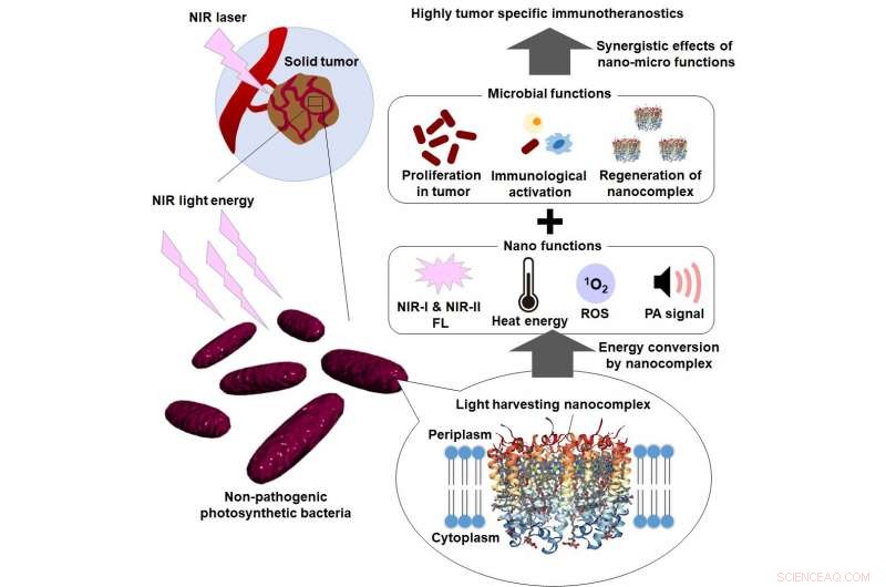 Innovative Photosynthetic Bacteria for Targeted Cancer Optotheranostics