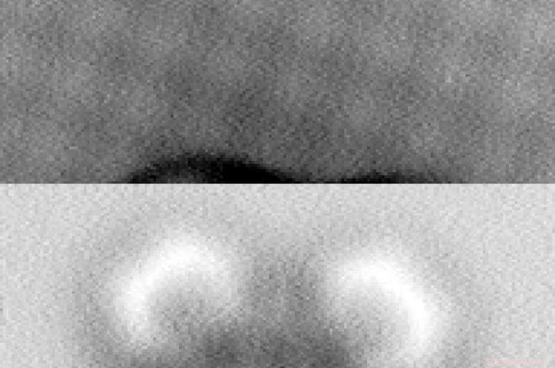 Leveraging Long-Range Molecular Interactions to Revolutionize Computing