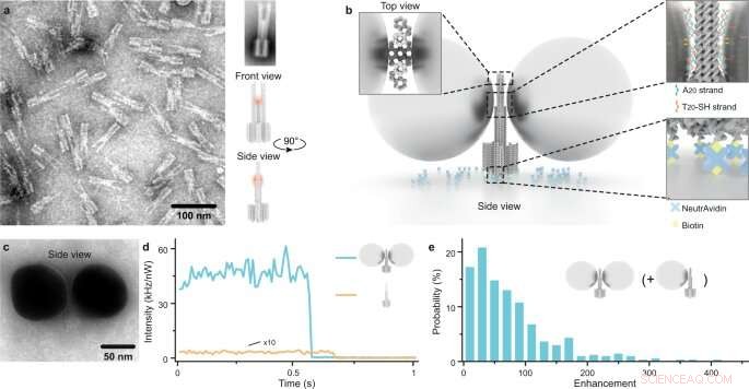 Smartphone-Enabled Single-Molecule Detection for Reliable Disease Diagnosis