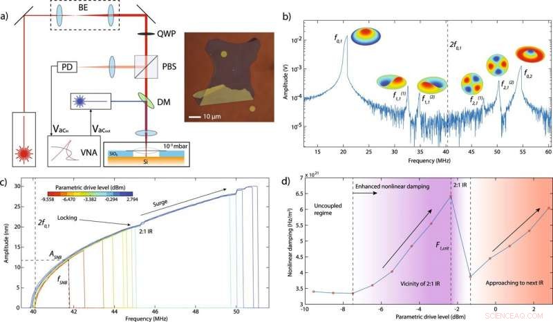 Graphene Reveals Microscopic Mechanisms of Energy Dissipation in Nanomechanical Systems