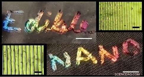 Nanostructured Edible Holograms: A New Frontier for Food Design