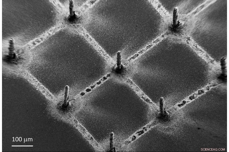 3D‑Printed Perovskite‑Graphene Sensors: The Future of X‑Ray Imaging