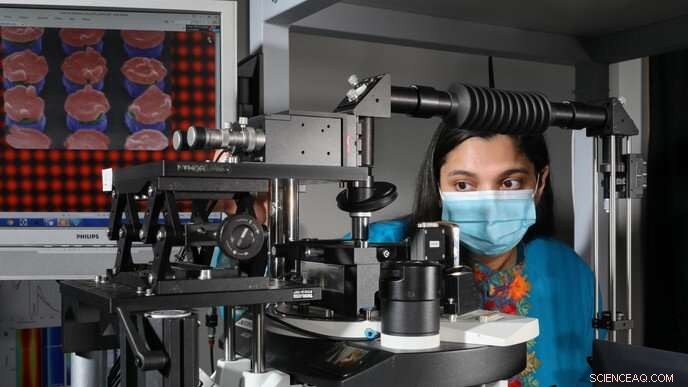 EPFL s Sandwich Technology Enhances Rapid Test Sensitivity for COVID and More