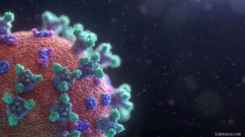 Rapid, Cost-Effective Virus Detection with Magnetic Nanoparticle Technology