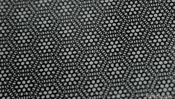 Unlocking the Magic Angle: How Twisted Graphene Transforms Materials Science