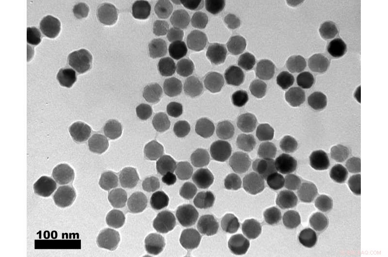 Bacterial Magnetic Nanoparticles: Cutting-Edge Nanotechnology for Targeted Biomedicine