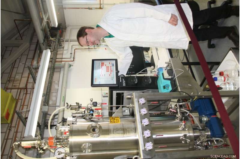 Bacterial Magnetic Nanoparticles: Cutting-Edge Nanotechnology for Targeted Biomedicine