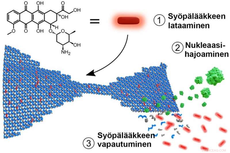 Real-Time Monitoring of Anti-Cancer Drug Release from DNA Origami Nanostructures
